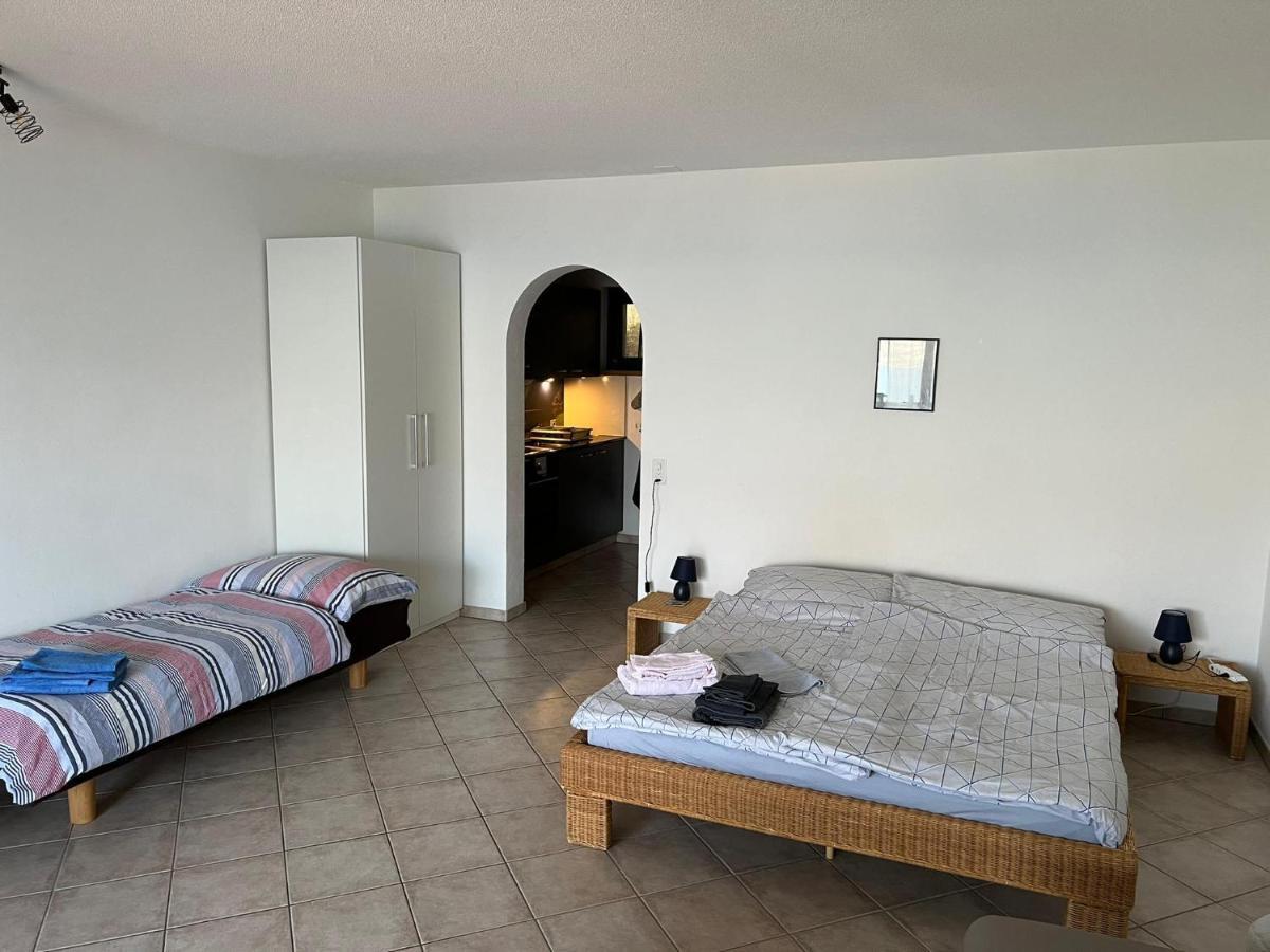 1 Zimmer Apartment Mit Seesicht Und Pool Gambarogno Ngoại thất bức ảnh
